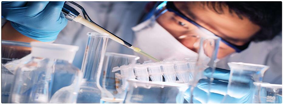 研發與服務平臺