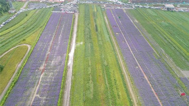 環美亞西行漫記自駕游 環美亞西行漫記自駕游